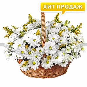 Улыбка солнца Улыбка солнца